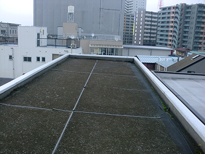 施工前の屋上
